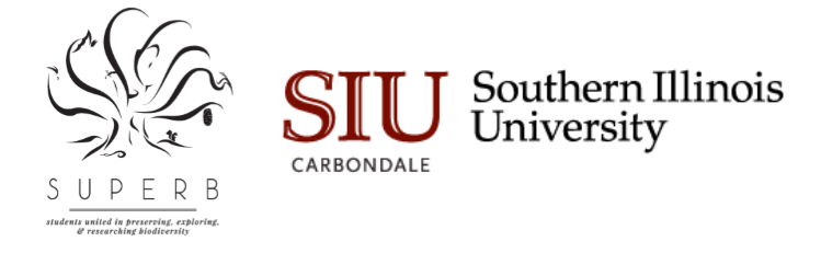 SIU SUPERB logo